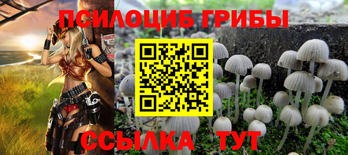 Галлюциногенные грибы Psilocybe  Вход с VPN  Тверь  Галлюциногенные грибы GOLDEN TEACHER 