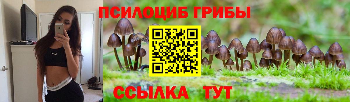 Псилоцибиновые грибы мухоморы Тверь