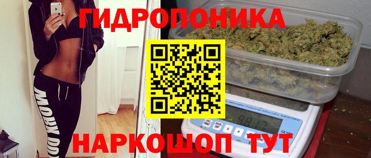 Каннабис гибрид  Вход с VPN  Бошки марихуана гибрид  Тверь 